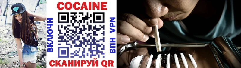 Cocaine Fish Scale  дарнет шоп  Курган 