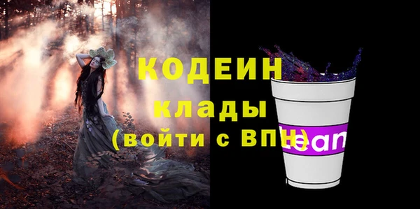 сатива Бородино