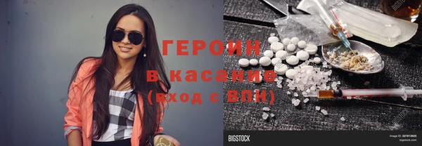 сатива Бородино