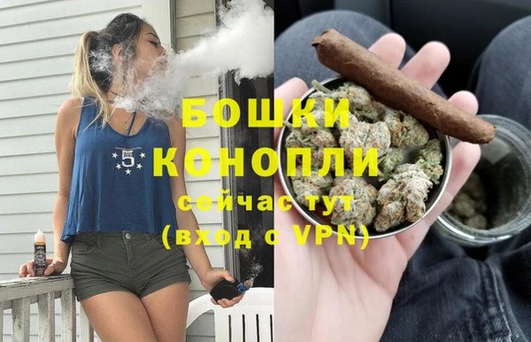 сатива Бородино