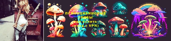 сатива Бородино