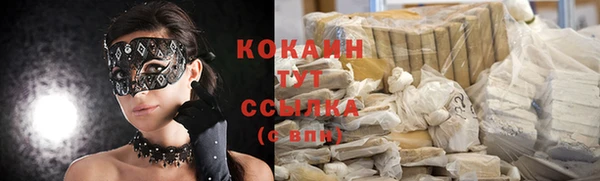 сатива Бородино