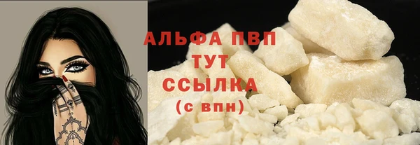 сатива Бородино