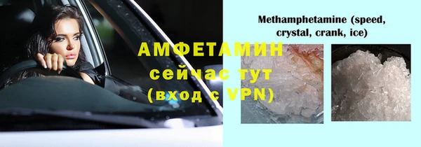 сатива Бородино