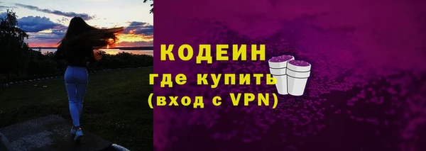 сатива Бородино