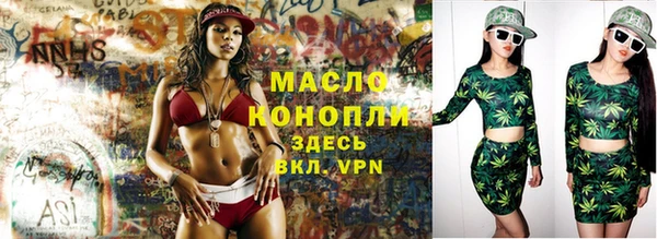 сатива Бородино