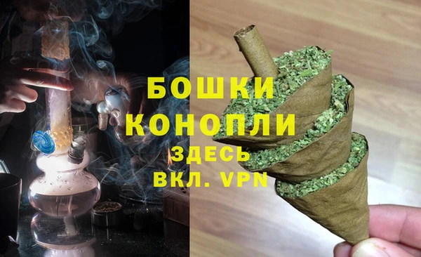 сатива Бородино