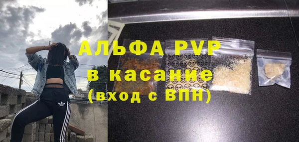 сатива Бородино