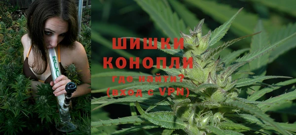 сатива Бородино