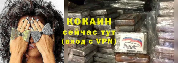сатива Бородино