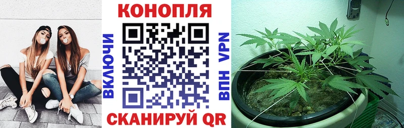 Каннабис тримм мориарти состав Курган